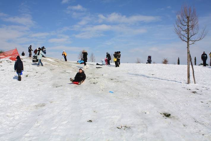 suicampidiscidi BorgataFidene